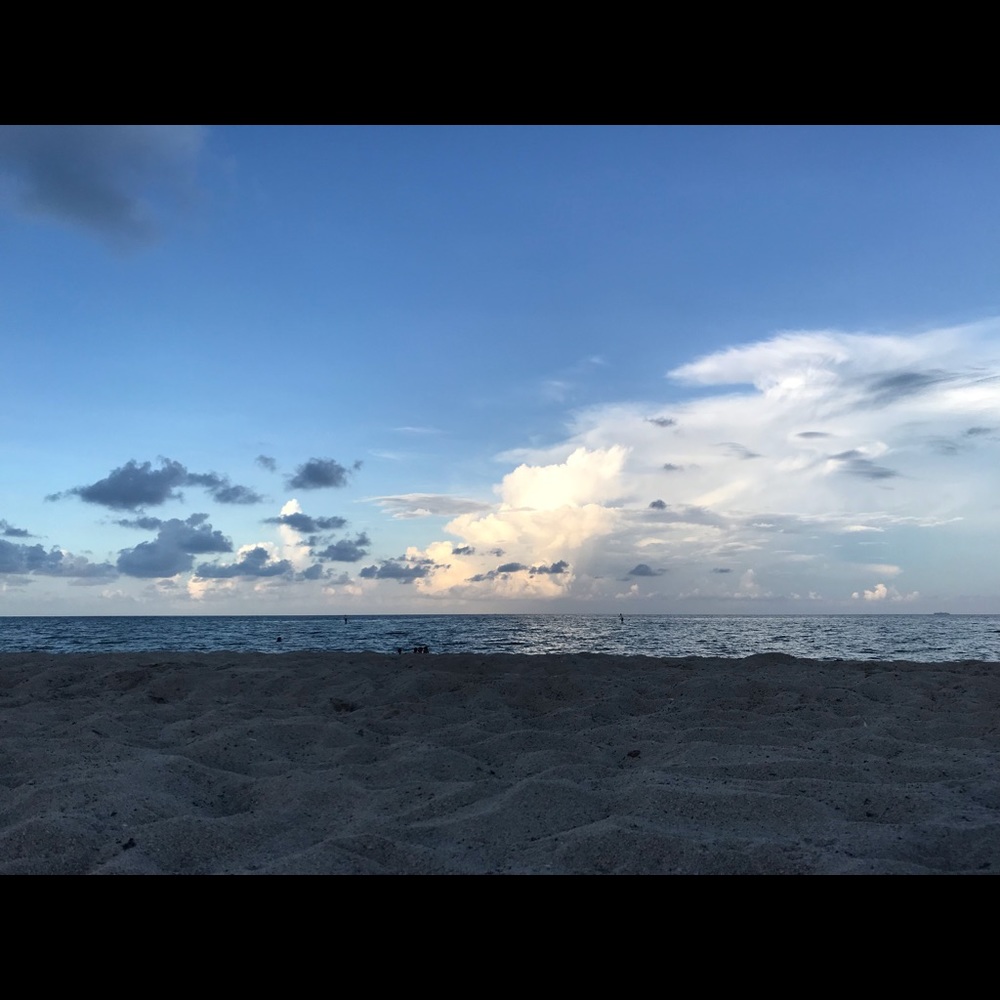 Meet your Posher, Camille